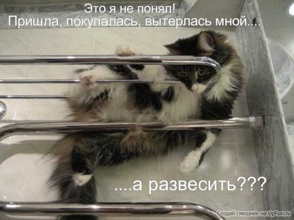 №17, Артем Коханский, 25 лет, Волгодонск №17, Артем Коханский, 25 лет, Волгодонск