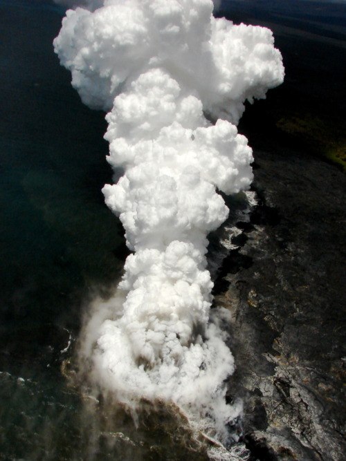 Марина Корнеева | 