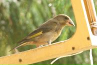 №26 Олег Шаронов 12.12.1980: профиль, фото, статус - ВКонтакте