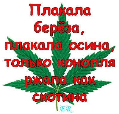 Елена Писарева валерьевна | Севастополь