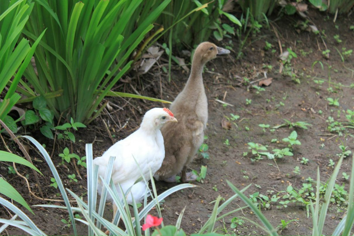 Дарья Никитина | Москва