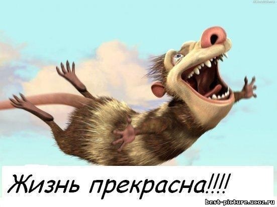 Аня Лаптева | 