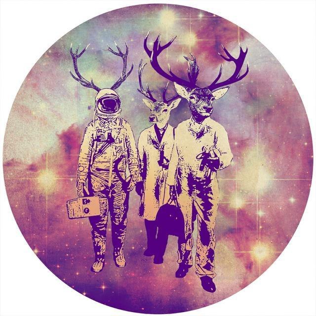 Кирилл Зайкин | 