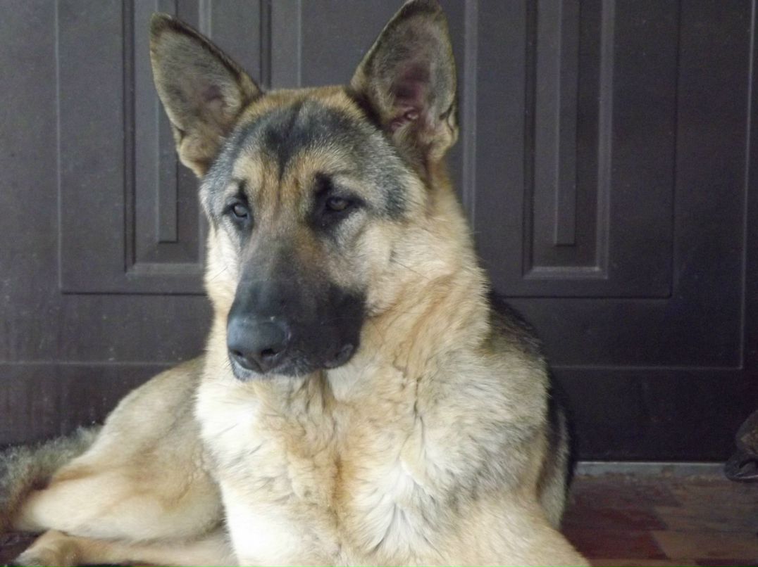 Сергей Ташкинов | Первомайск