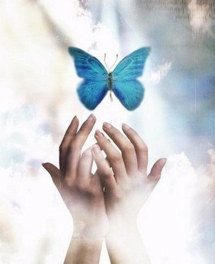 Ольга Мордвинова | Санкт-Петербург