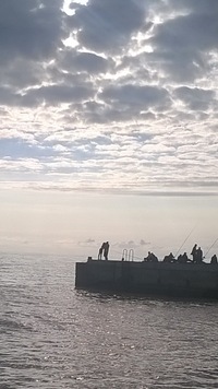 Денис Попов