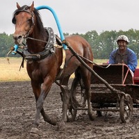 Сергей Кулешов