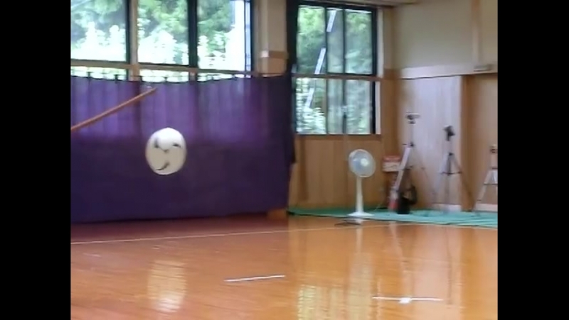 Muso Jikiden Eishin ryu Tachi Uchi no