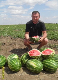 Виталик Сидоров