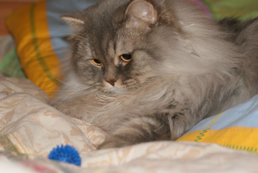 №1, Владимир Горохов, Вологда, Россия №1, Владимир Горохов, Вологда, Россия