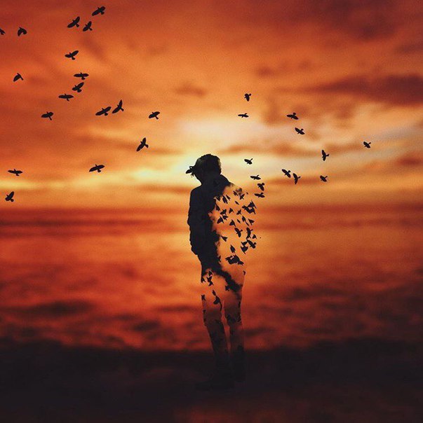 Богдан Вишньовський, Украина, Киев