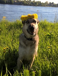 Ульяна Девяткова