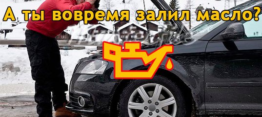 Piteroils Ru Отзывы Интернет Магазин