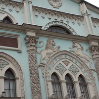 Светлана Котова