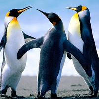 Сергей Захаров