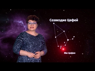 Аленушка тв чебоксары сумасшедшая. Ведущие Чувашского телевидения. VV Цефея