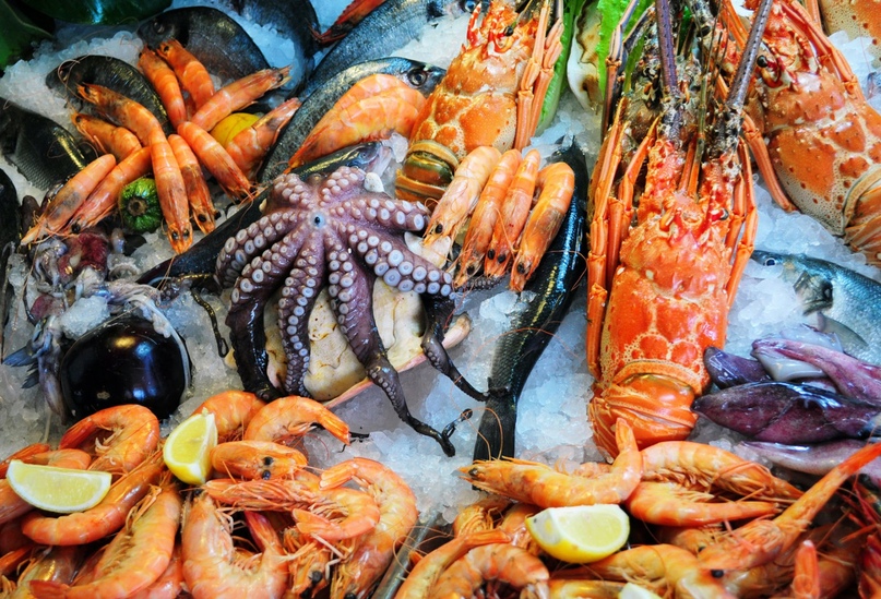 Интересные и полезные свойства морепродуктов, изображение №1