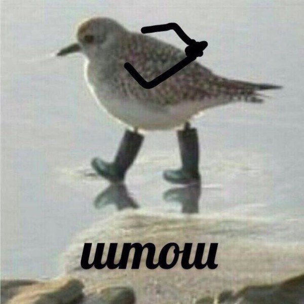 Ада Царева, Россия, Владивосток