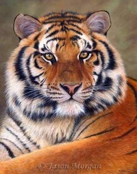 Сергей Дмитриев