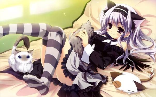 Anime girls with cat ears