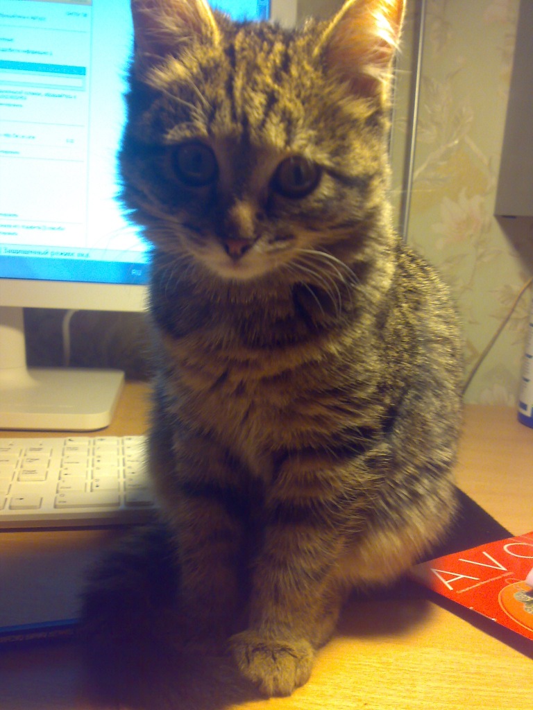 Фото профиля