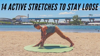 14 Active Stretches for Better Mobility & Flexibility
