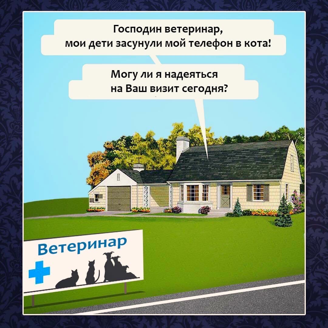 q6UxEtrXabM.jpg