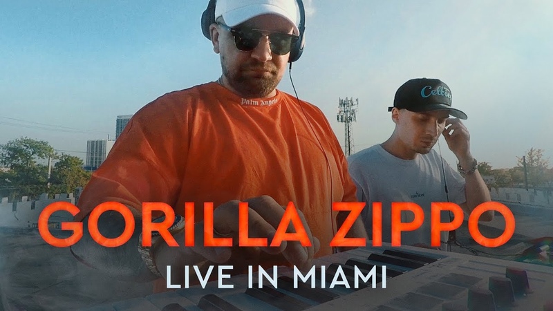 Gorilla Zippo Live in