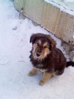 №163, Дмитрий Зинишин, Красноярск №163, Дмитрий Зинишин, Красноярск