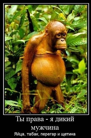 №61, Алексей Терман, 45 лет, Мончегорск №61, Алексей Терман, 45 лет, Мончегорск