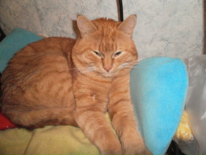 №175, Светлана Орлова, 121 год, Москва №175, Светлана Орлова, 121 год, Москва