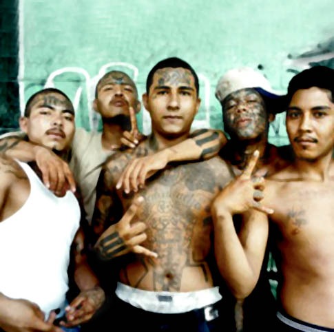 №165, Chico Rico №165, Chico Rico