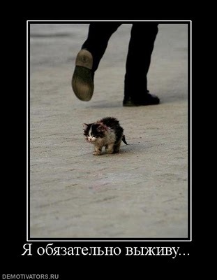 №113, Елена Кочеткова, 36 лет, Сызрань №113, Елена Кочеткова, 36 лет, Сызрань