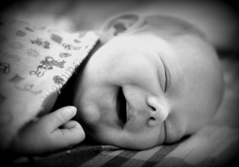 Мария Липкевич | 