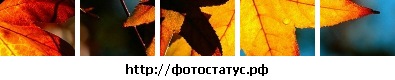 №111, Александра Христофор, 33 года, Хмельницкий №111, Александра Христофор, 33 года, Хмельницкий