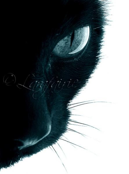 Ирина Волоскова фото профиля #3