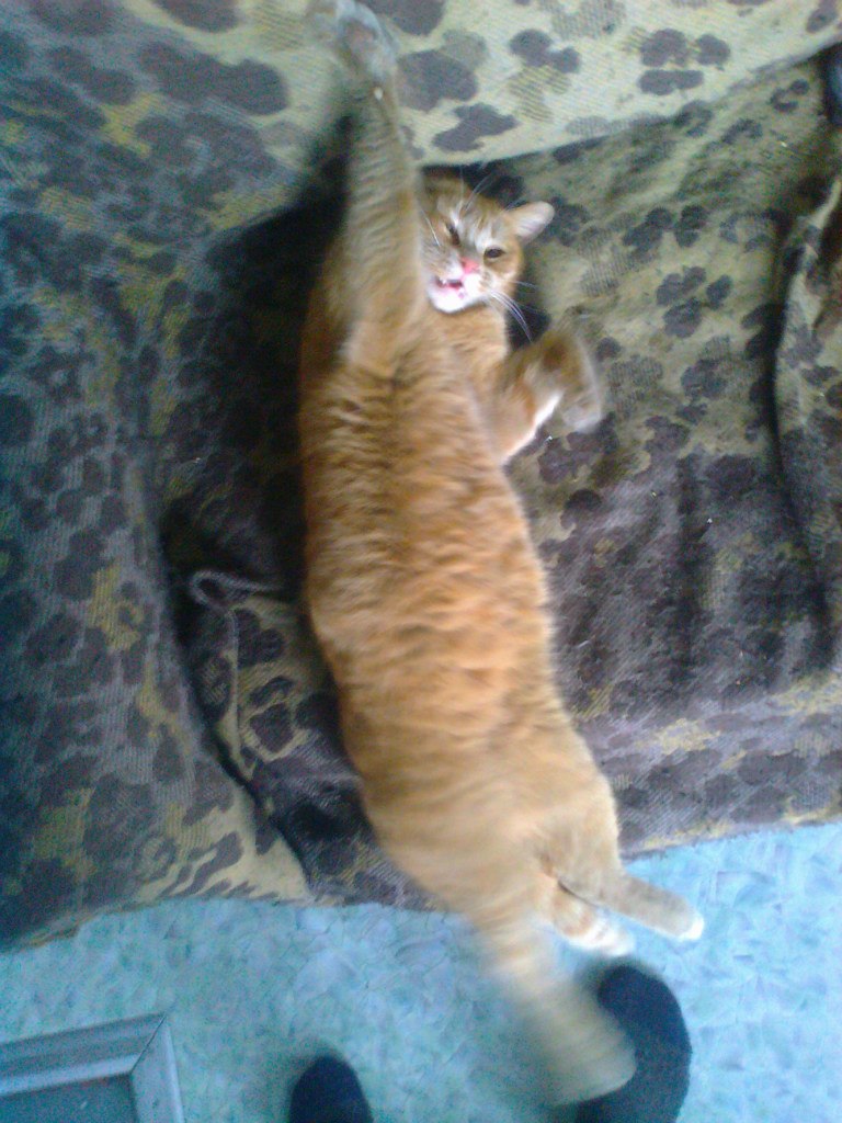 Костя Крук | Иркутск