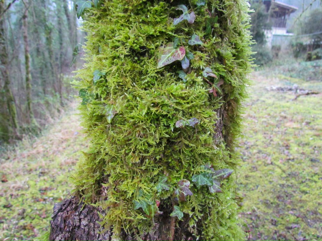 Вячеслав Патрин | Волгоград