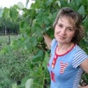 Аватар: Елена Холошенко