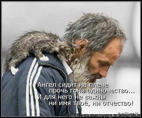 №37, Юлия Шапошник, Чебоксары №37, Юлия Шапошник, Чебоксары