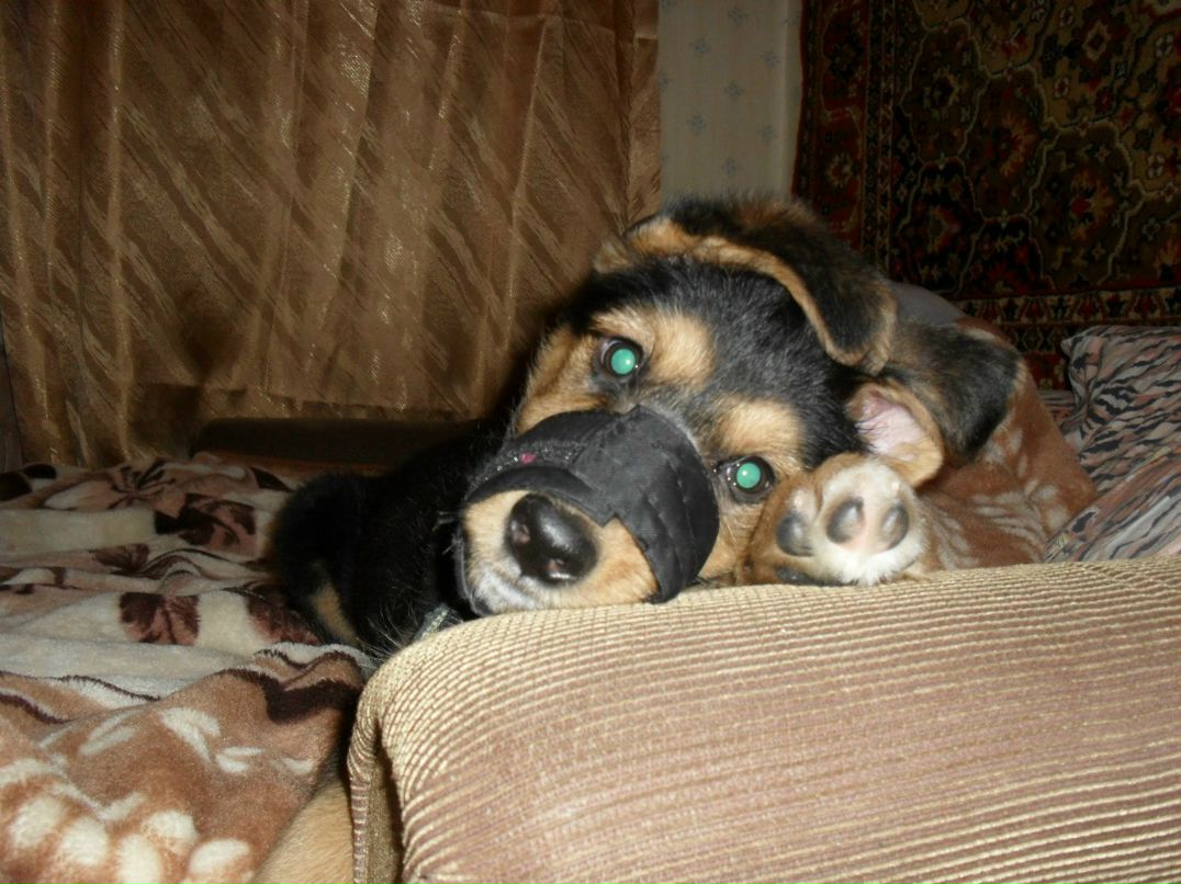 Виталия Кононова | Видное