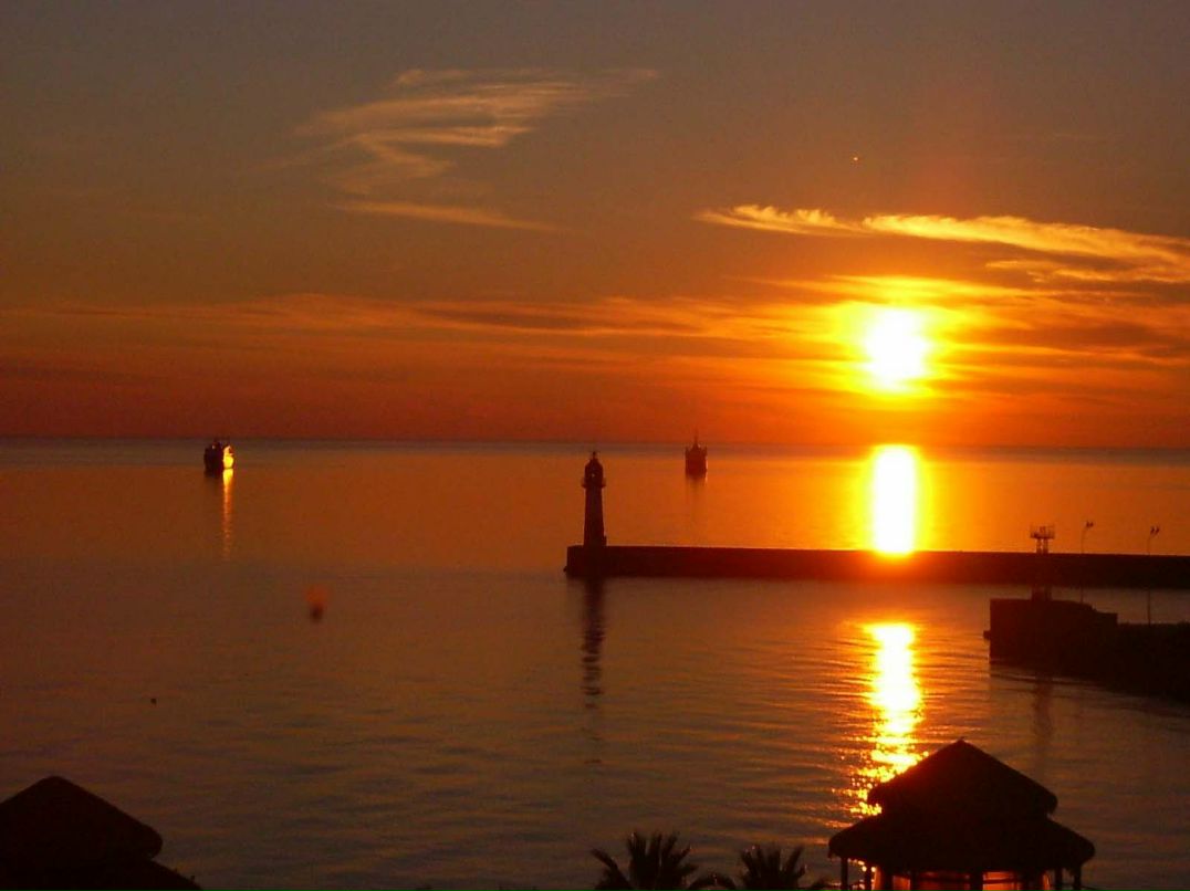 Роман Фёдоров | Санкт-Петербург