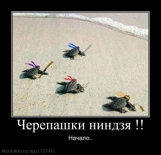 Васиф Мовсумзаде | Magdeburg