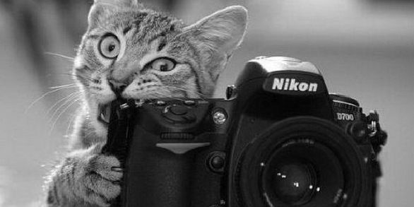 №103, Евгения Архипова, Кингисепп №103, Евгения Архипова, Кингисепп