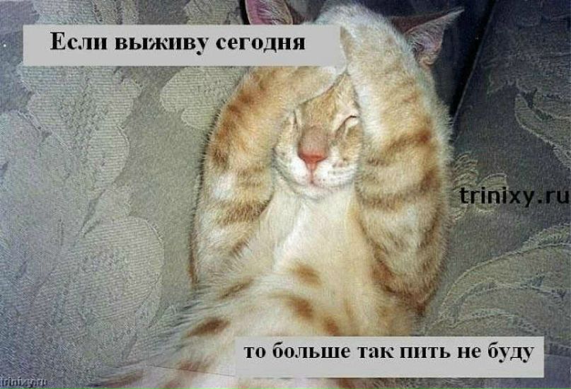 Татьяна Шатрова | Москва