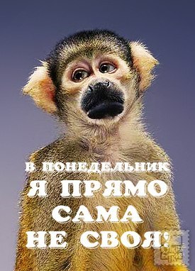 Ксюша Грищенко | Киев