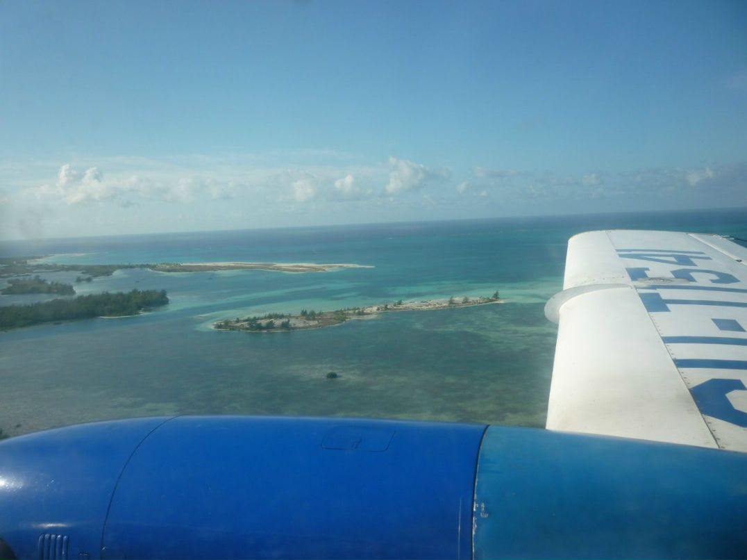 Мария Воеводина | Москва