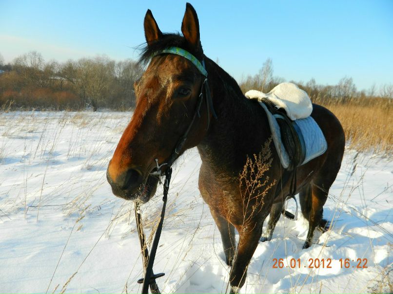 Сергей Скутте | Санкт-Петербург