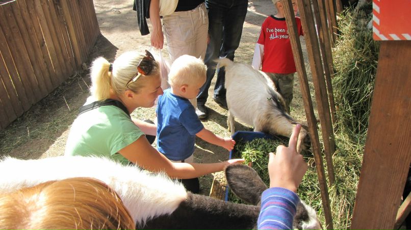Lera Lebedeva | Киев
