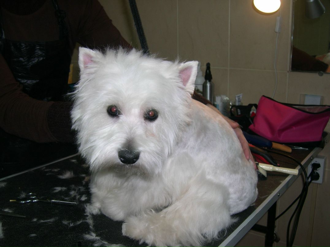 Светлана Орлова | Тула